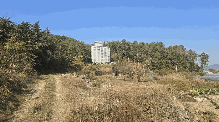 경상남도 남해군 창선면 당저리 220 답 경매 사진 14