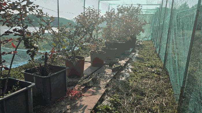 경상남도 남해군 창선면 당저리 220 답 경매 사진 9