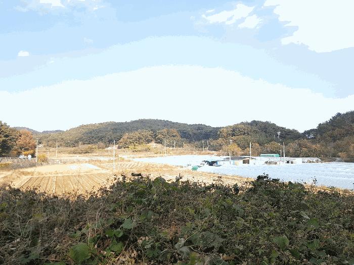 경상남도 진주시 수곡면 대천리 산1 임야 경매 사진 1