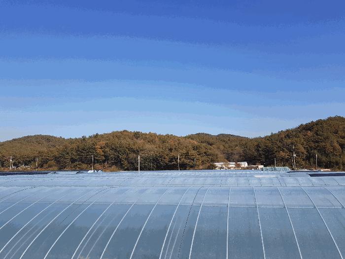 경상남도 진주시 수곡면 대천리 산1 임야 경매 사진 13