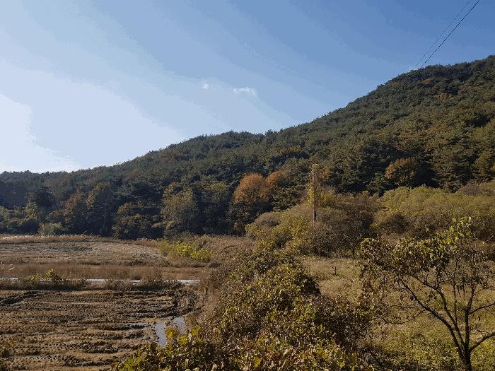 경상남도 진주시 수곡면 대천리 산1 임야 경매 사진 9