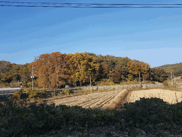 경상남도 진주시 수곡면 대천리 산6-6 임야 경매 사진 3