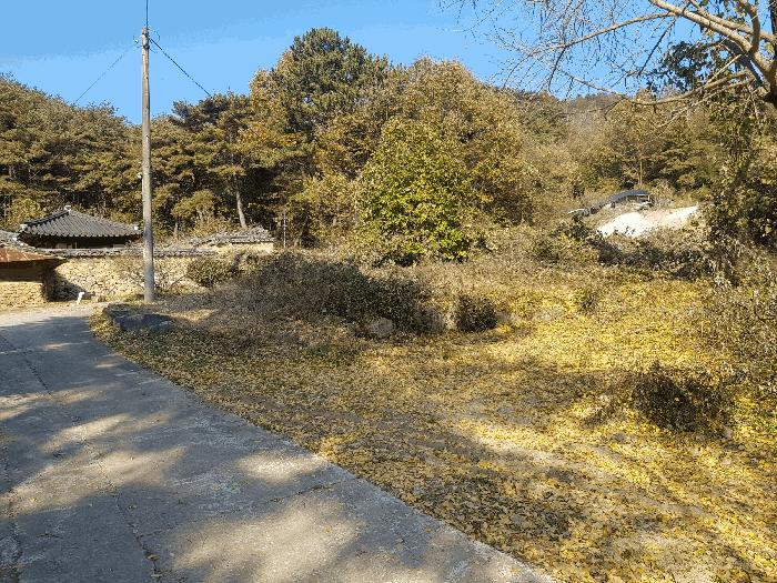 경상남도 진주시 수곡면 사곡리 산41 임야 경매 사진 21
