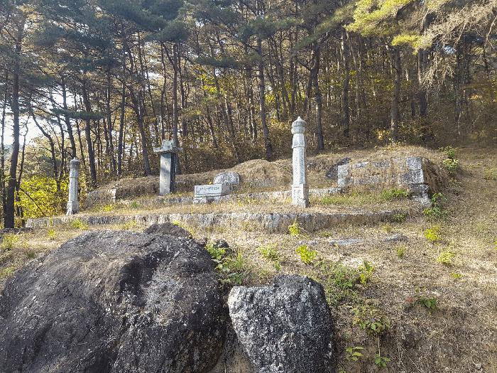 경상남도 진주시 수곡면 사곡리 산41 임야 경매 사진 22