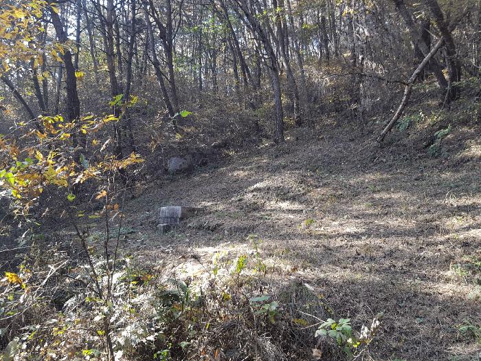 경상남도 진주시 수곡면 사곡리 산41 임야 경매 사진 30