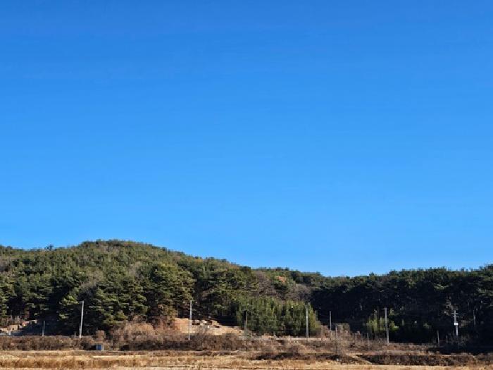 경상남도 진주시 수곡면 사곡리 산41 임야 경매 사진 41