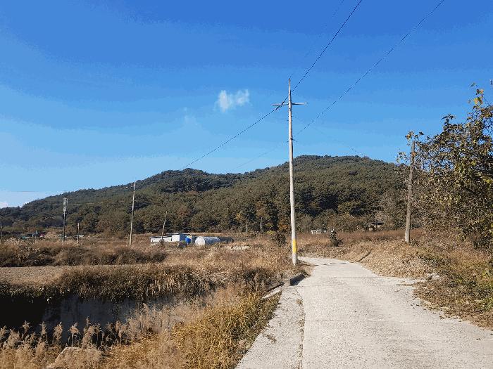 경상남도 진주시 수곡면 사곡리 산159-2 임야 경매 사진 10