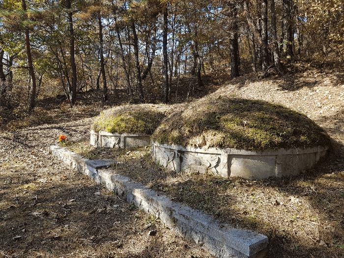 경상남도 진주시 수곡면 사곡리 산159-2 임야 경매 사진 23
