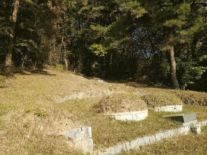 경상남도 진주시 수곡면 사곡리 산159-2 임야 경매 사진 25