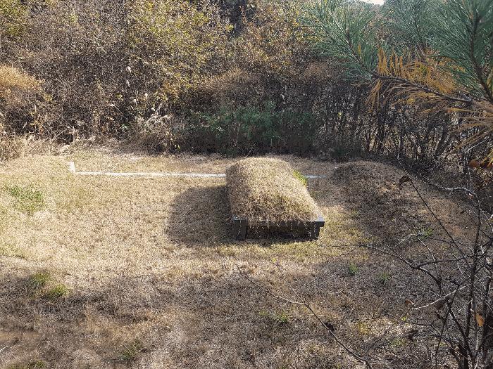 경상남도 진주시 수곡면 사곡리 산159-2 임야 경매 사진 31