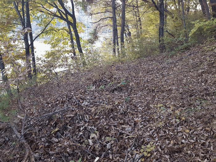 경상남도 진주시 수곡면 사곡리 산159-2 임야 경매 사진 35