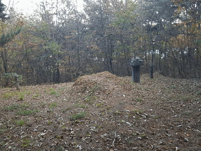 경상남도 진주시 수곡면 사곡리 산159-2 임야 경매 사진 4