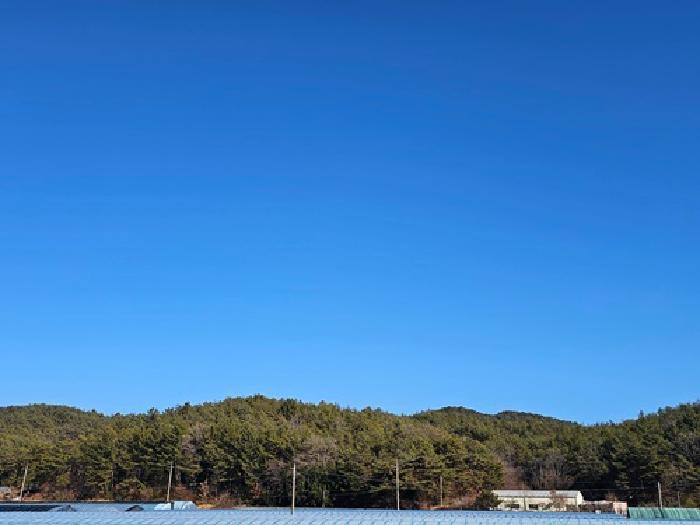 경상남도 진주시 수곡면 사곡리 산159-2 임야 경매 사진 43