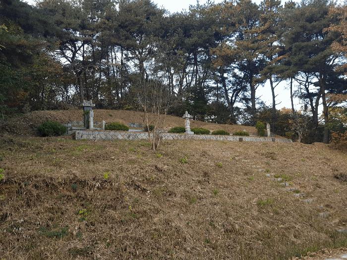 경상남도 진주시 수곡면 사곡리 산159-2 임야 경매 사진 5
