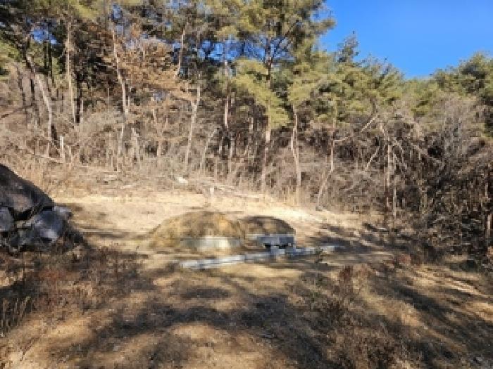 경상남도 진주시 수곡면 사곡리 산159-2 임야 경매 사진 53