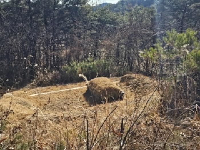 경상남도 진주시 수곡면 사곡리 산159-2 임야 경매 사진 55