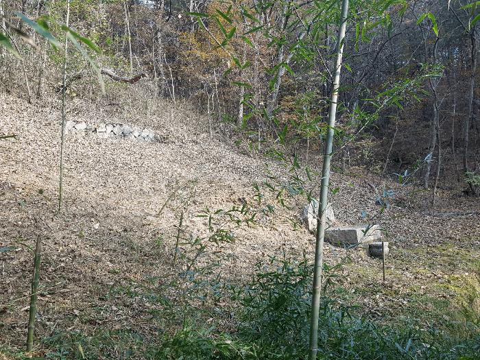 경상남도 진주시 수곡면 사곡리 산159-2 임야 경매 사진 7