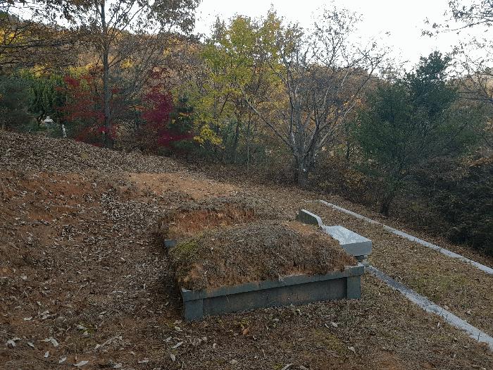 경상남도 진주시 수곡면 효자리 산102 임야 경매 사진 17