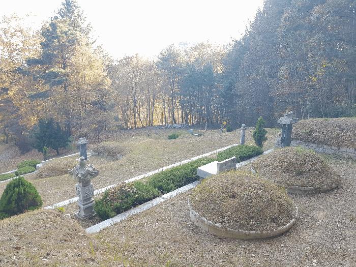 경상남도 진주시 수곡면 효자리 산102 임야 경매 사진 28