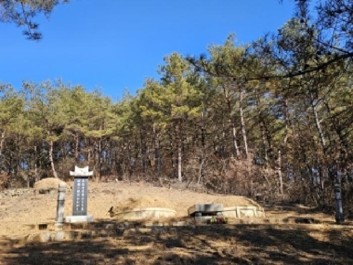경상남도 진주시 수곡면 효자리 산102 임야 경매 사진 45