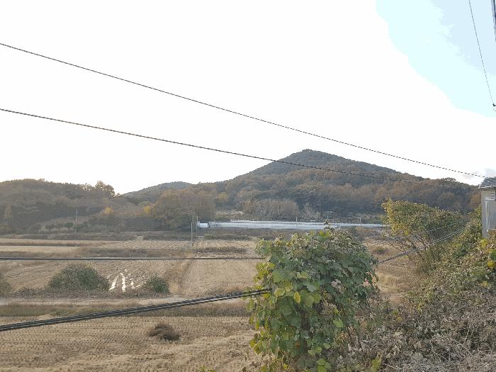 경상남도 진주시 수곡면 효자리 산102 임야 경매 사진 6