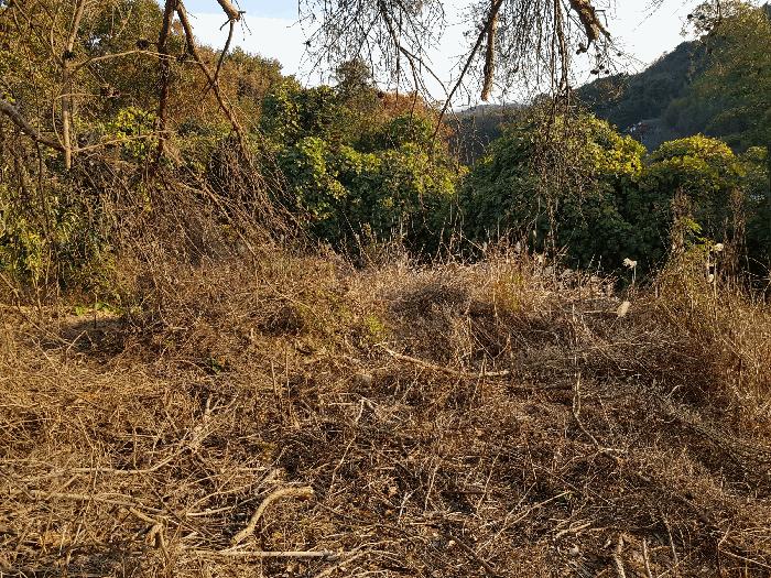 경상남도 진주시 수곡면 효자리 산102 임야 경매 사진 8
