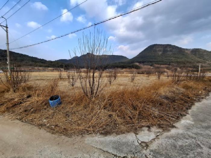 경상남도 산청군 신안면 신안리 109-21 전 경매 사진 14