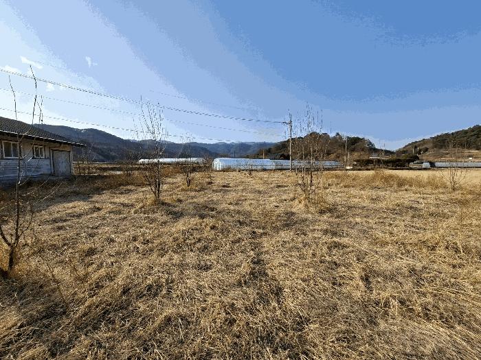 경상남도 산청군 신안면 신안리 109-21 전 경매 사진 2
