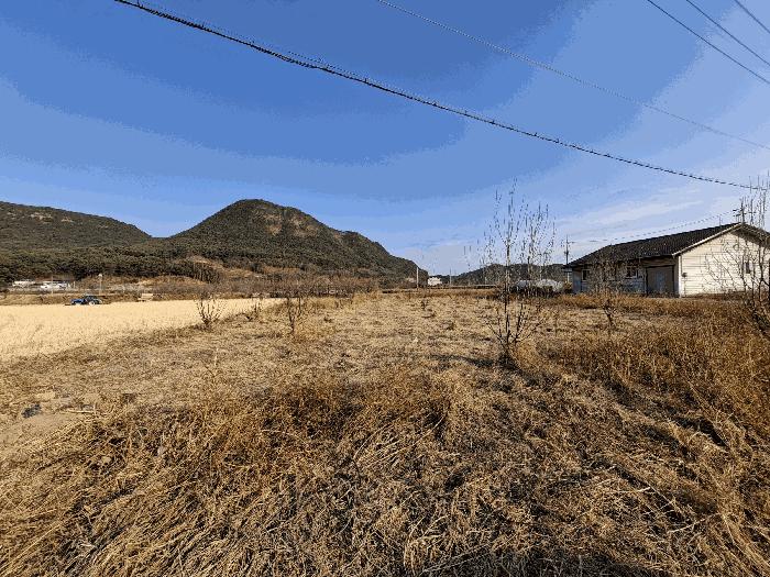 경상남도 산청군 신안면 신안리 109-21 전 경매 사진 7