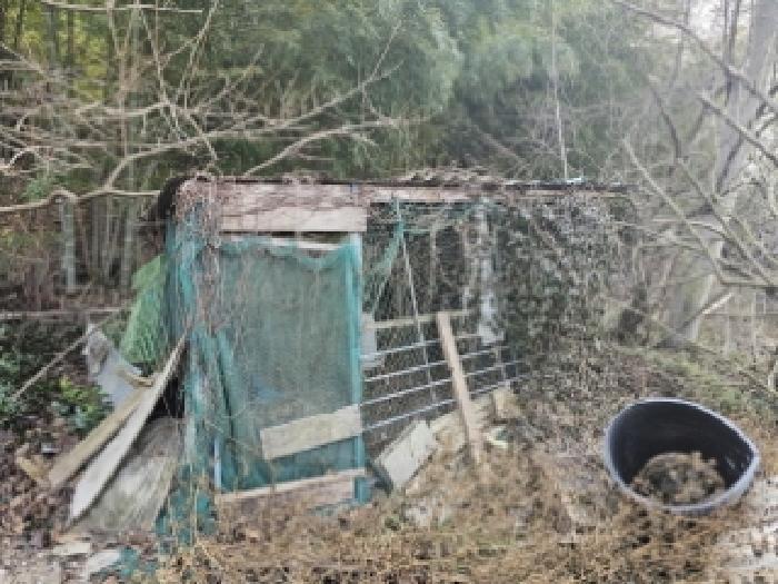 경상남도 하동군 금남면 대송리 산49 임야 경매 사진 5