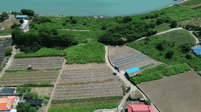 경상남도 남해군 창선면 동대리 175-1 전 경매 사진 5