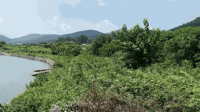 경상남도 남해군 창선면 동대리 175-1 전 경매 사진 7