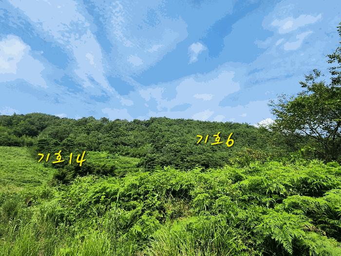 경상남도 사천시 곤명면 초량리 산1 축사(농가시설) 경매 사진 10