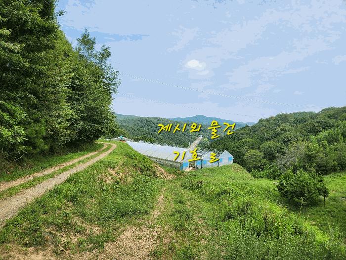 경상남도 사천시 곤명면 초량리 산1 축사(농가시설) 경매 사진 17