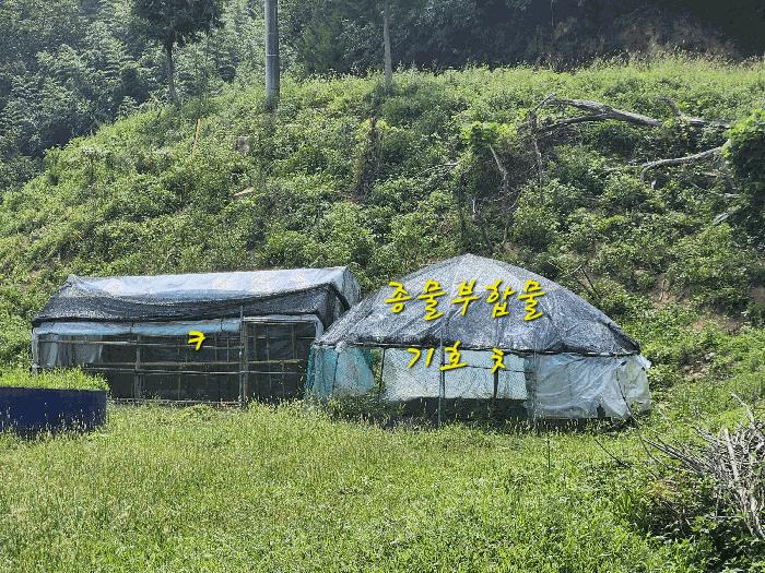 경상남도 사천시 곤명면 초량리 산1 축사(농가시설) 경매 사진 19