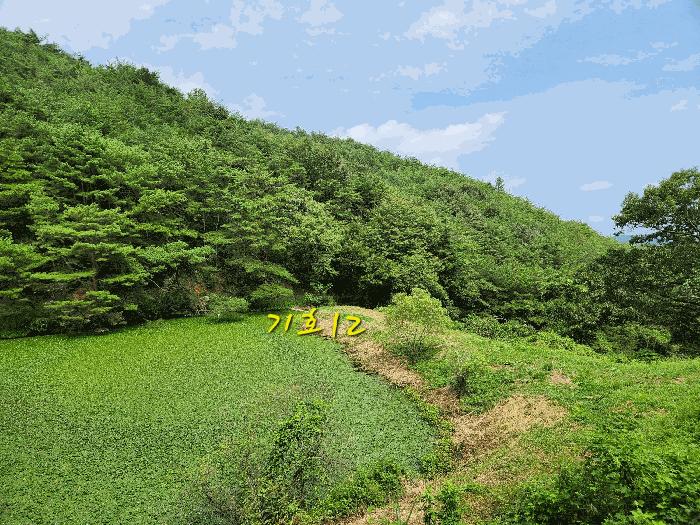 경상남도 사천시 곤명면 초량리 산1 축사(농가시설) 경매 사진 20