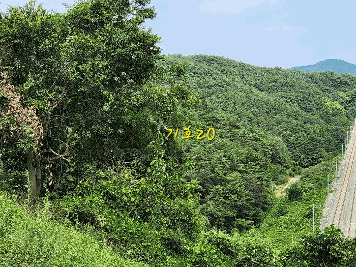 경상남도 사천시 곤명면 초량리 산1 축사(농가시설) 경매 사진 22