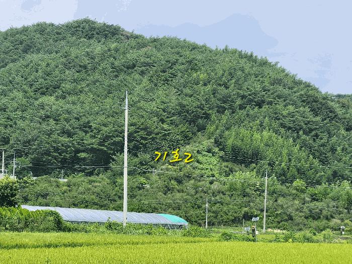 경상남도 사천시 곤명면 초량리 산1 축사(농가시설) 경매 사진 25