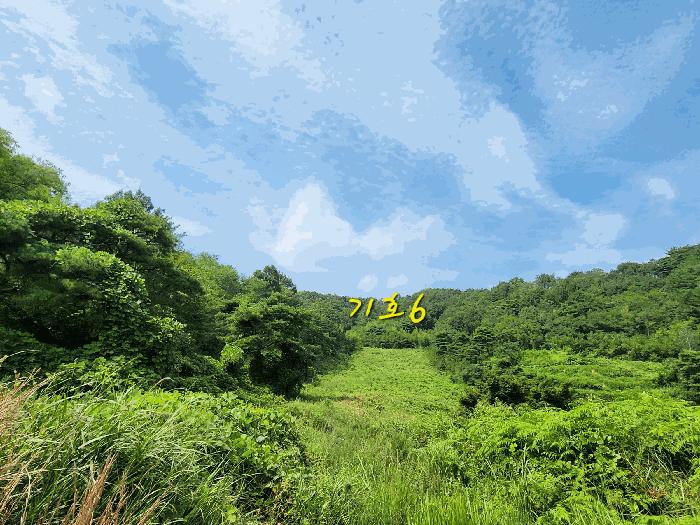 경상남도 사천시 곤명면 초량리 산1 축사(농가시설) 경매 사진 4