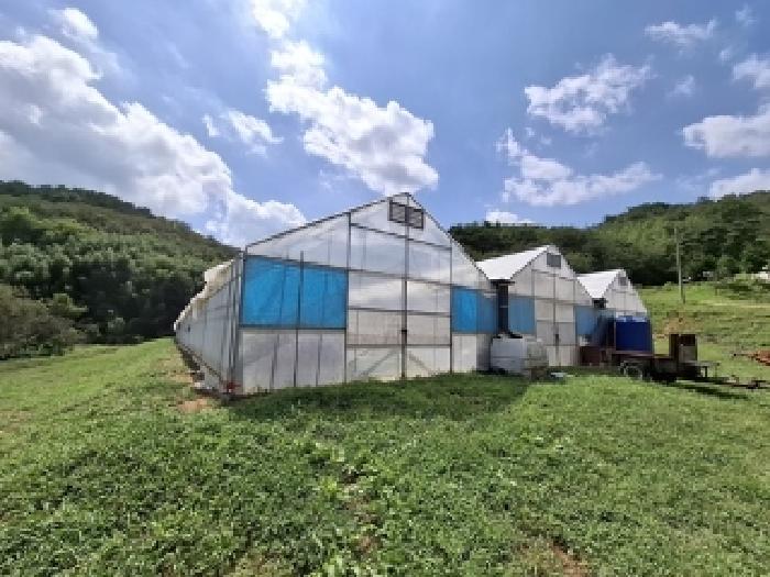 경상남도 사천시 곤명면 초량리 산1 축사(농가시설) 경매 사진 55