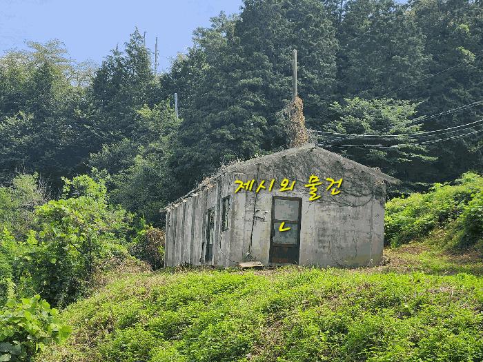 경상남도 사천시 곤명면 초량리 산1 축사(농가시설) 경매 사진 6