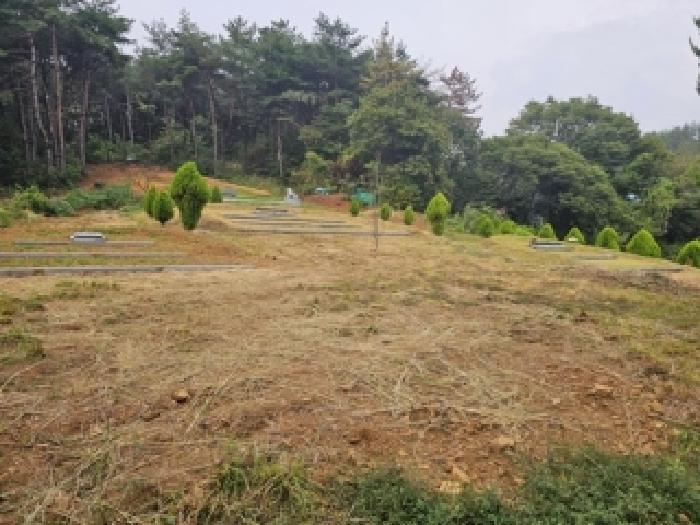 경상남도 하동군 적량면 동리 산15 임야 경매 사진 15