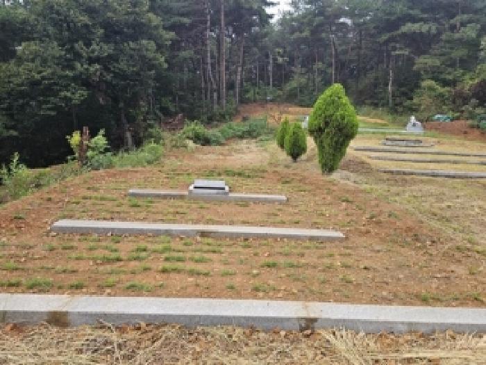 경상남도 하동군 적량면 동리 산15 임야 경매 사진 16