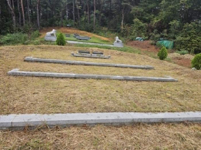 경상남도 하동군 적량면 동리 산15 임야 경매 사진 17