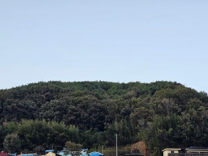 경상남도 하동군 적량면 동리 산15 임야 경매 사진 19
