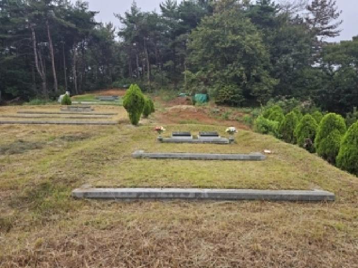 경상남도 하동군 적량면 동리 산32 임야 경매 사진 18