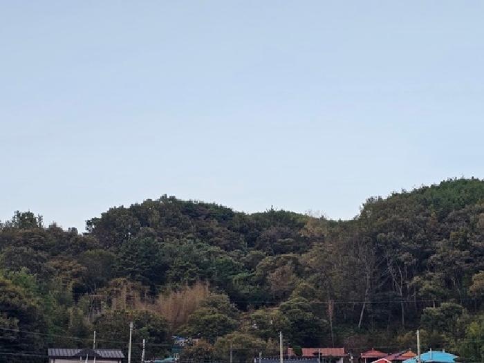 경상남도 하동군 적량면 동리 산32 임야 경매 사진 20