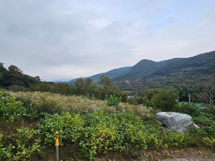 경상남도 하동군 적량면 동리 산32 임야 경매 사진 21