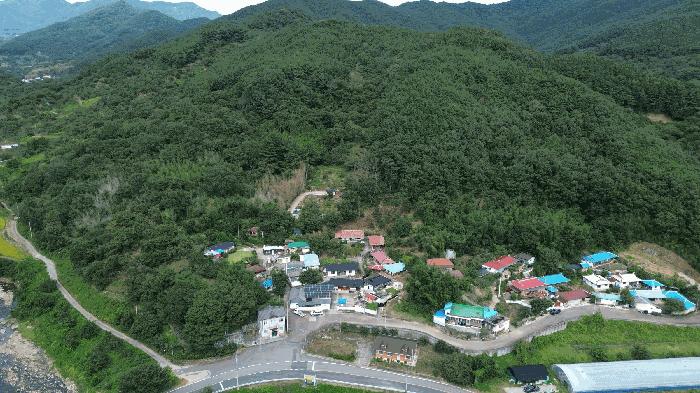 경상남도 하동군 적량면 동리 산32 임야 경매 사진 5