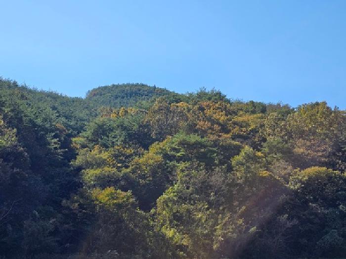 경상남도 산청군 생비량면 화현리 산224 임야 경매 사진 4